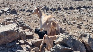 2024-02-GranCan-Playa Del Aguila-Trek-67.jpg